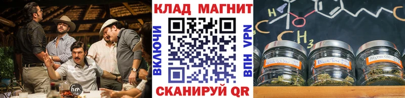 Какие есть наркотики Елизаветинская Галлюциногенные грибы  Альфа ПВП  Бошки Шишки  Гашиш  КОКАИН  ОМГ ОМГ онион  Амфетамин 