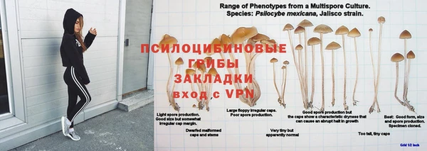 прущие грибы Куйбышев