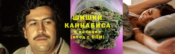прущие грибы Куйбышев