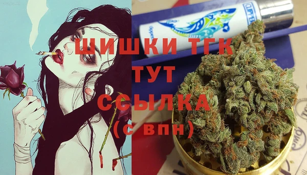 прущие грибы Куйбышев