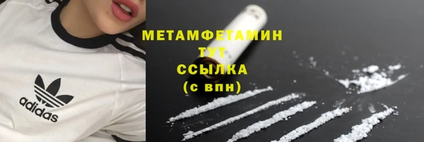 прущие грибы Куйбышев