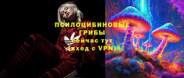 прущие грибы Куйбышев