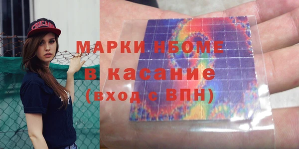 прущие грибы Куйбышев