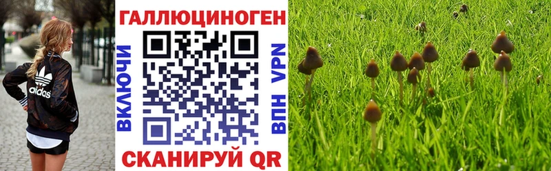 это какой сайт  Елизаветинская  KRAKEN ССЫЛКА  Галлюциногенные грибы Psilocybine cubensis  цены наркотик 